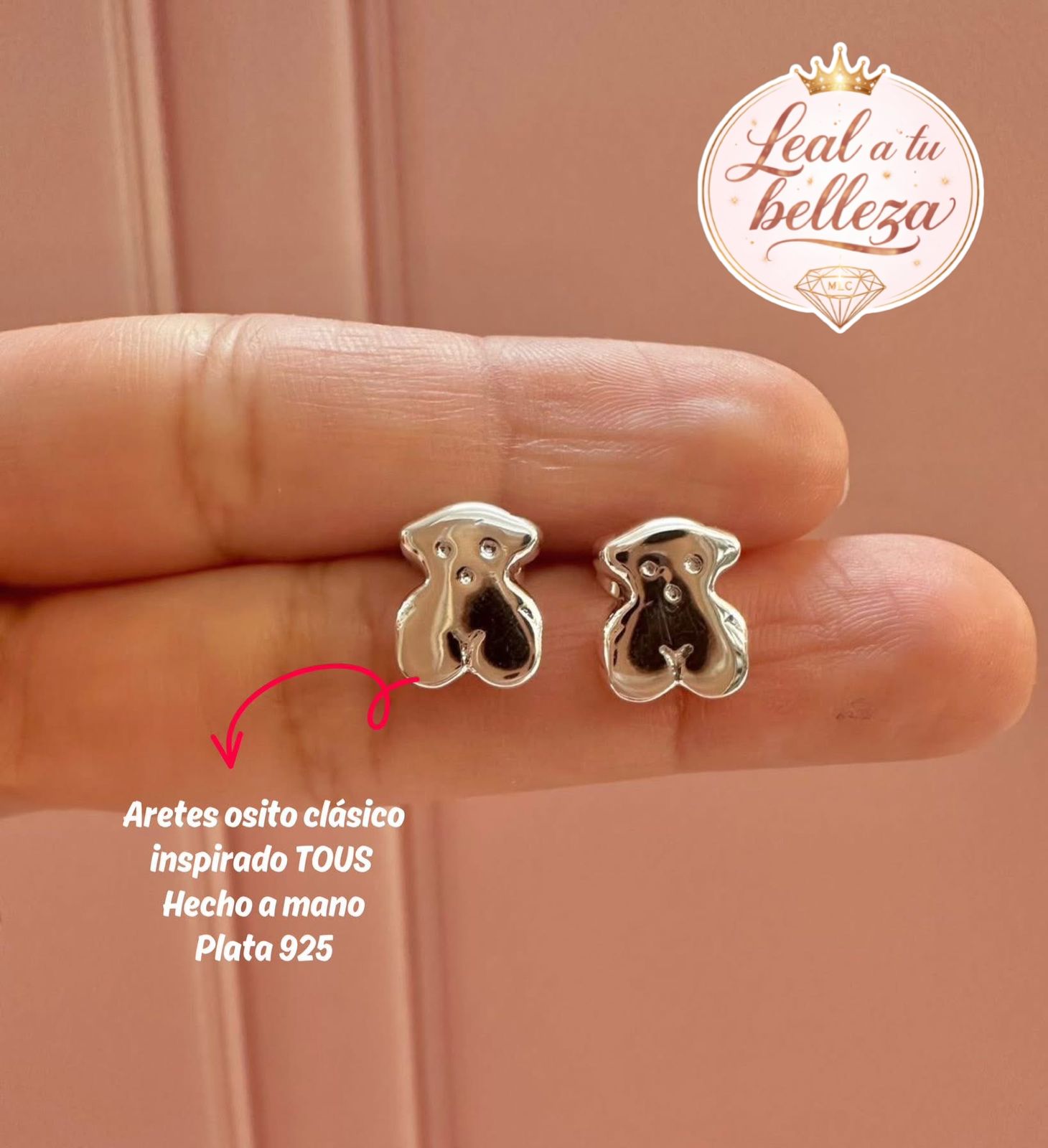 Arete insp oso  cartoneado